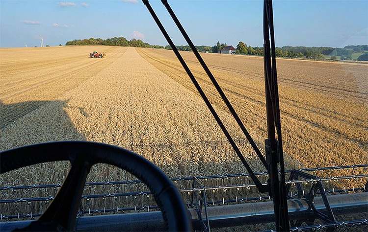 Що допомагає комбайнам Axial-Flow 250 досягти максимального результату