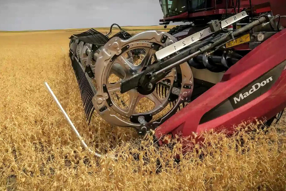 MacDon FD2 corn harvesters