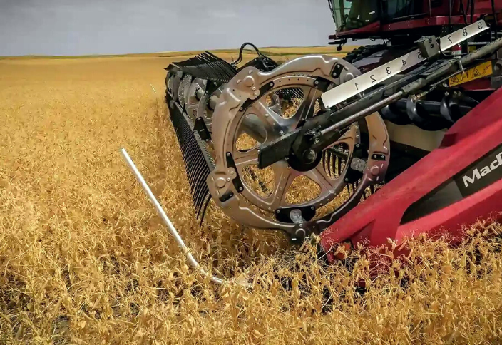 Tested in the field: the grain harvester MACDON FD2 pays off during the season