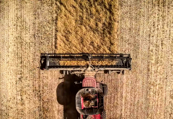 Tested in the field: the grain harvester MACDON FD2 pays off during the season