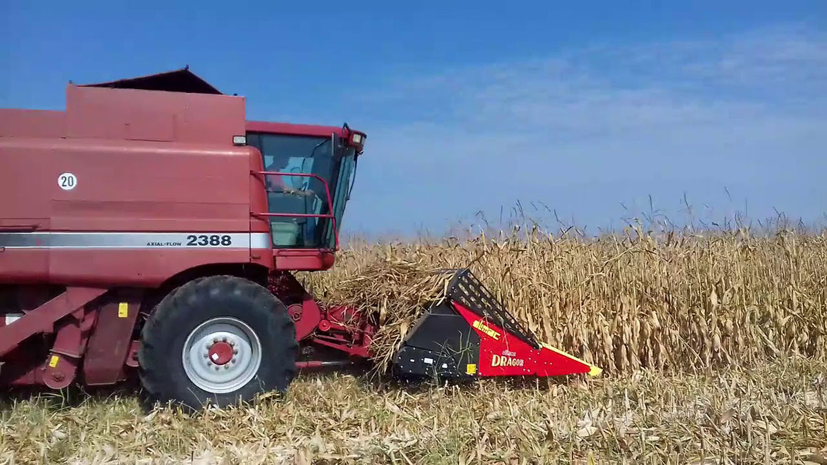 Жниварка для збирання кукурудзи Olimac Drago 2