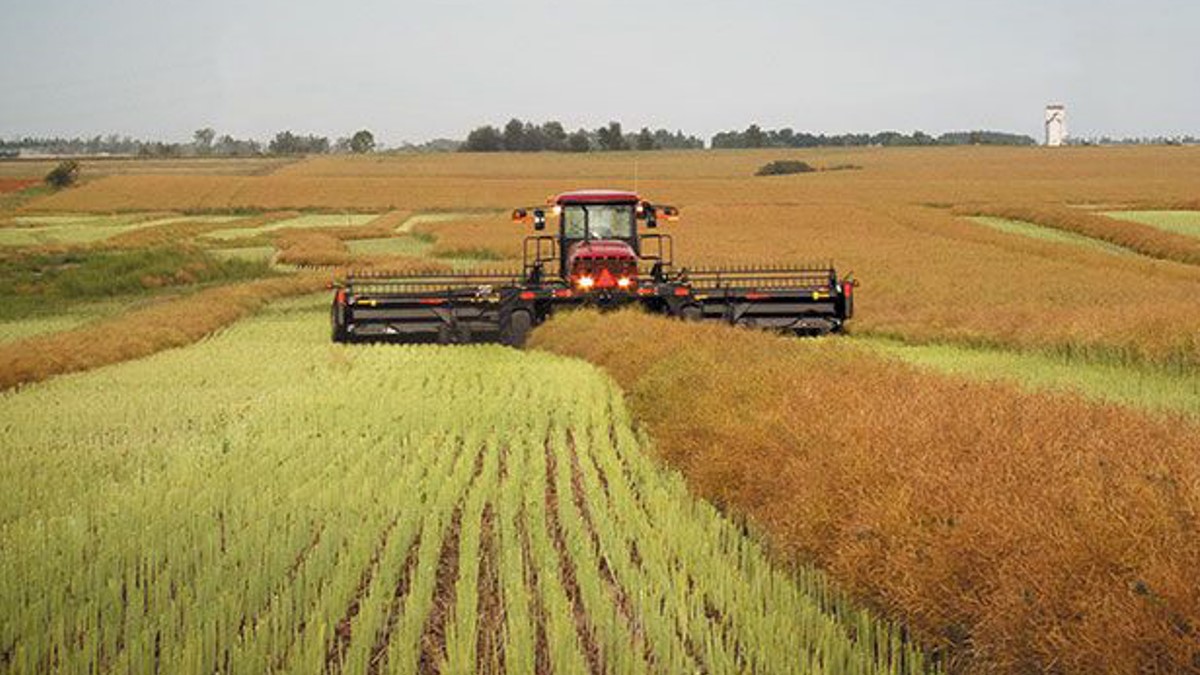 Самохідна косарка MacDon M1