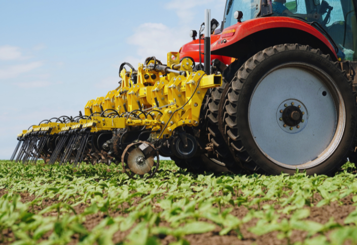 Sunflower Without Herbicides – Practical and Profitable!